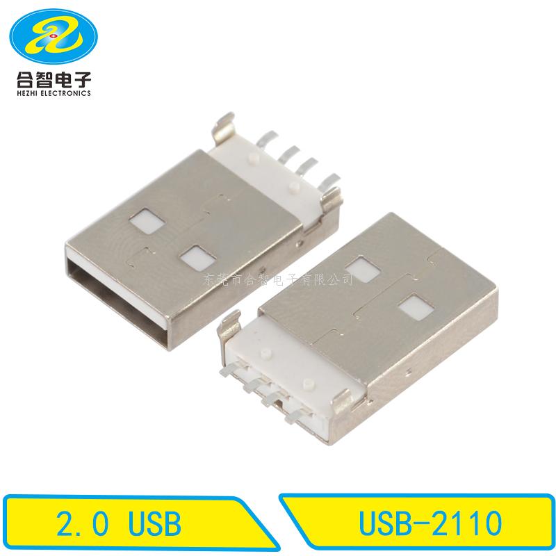 USB 2.0-USB-2110
