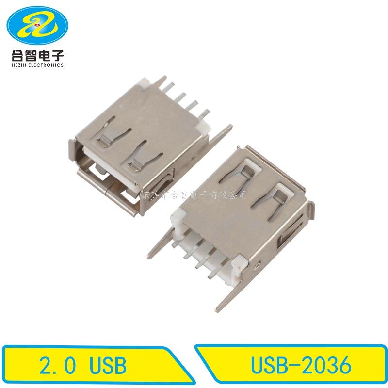 USB 2.0-USB-2036